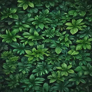 plants background