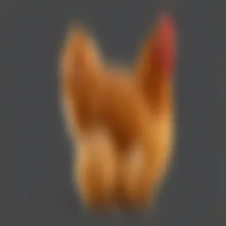 chicken transparent background
