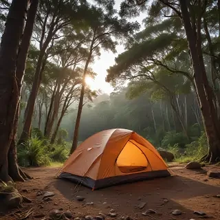 camping png