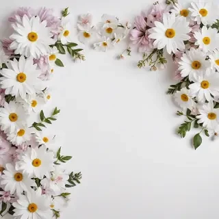 white background with flowers