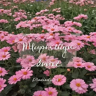 hello june images