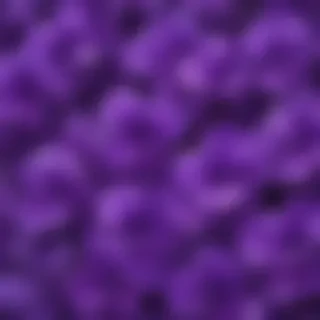 cute purple wallpaper for iphone