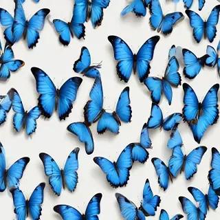 blue butterfly png