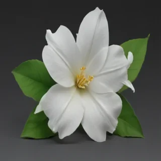 jasmine flower png
