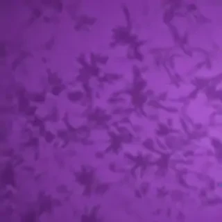 purple screen wallpaper