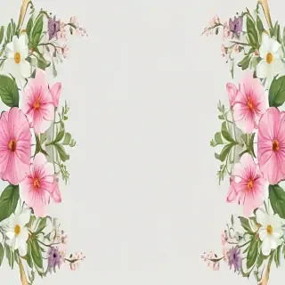transparent flower border
