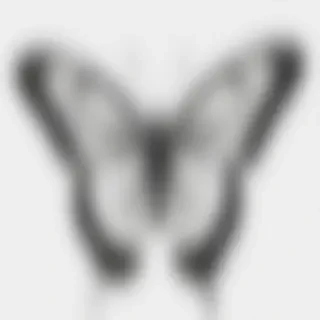 butterfly png black and white