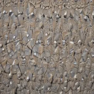 scratchy texture