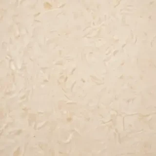 backgrounds cream