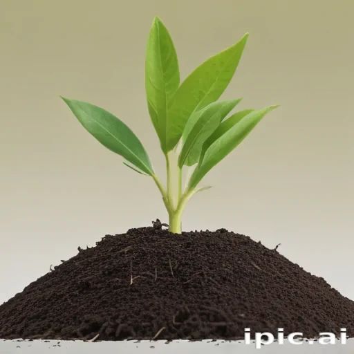 seedling png