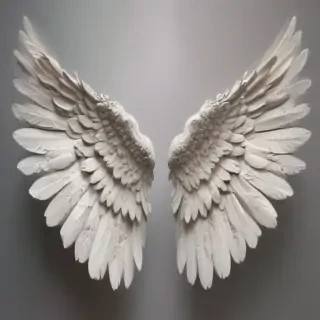 picture of angel wings