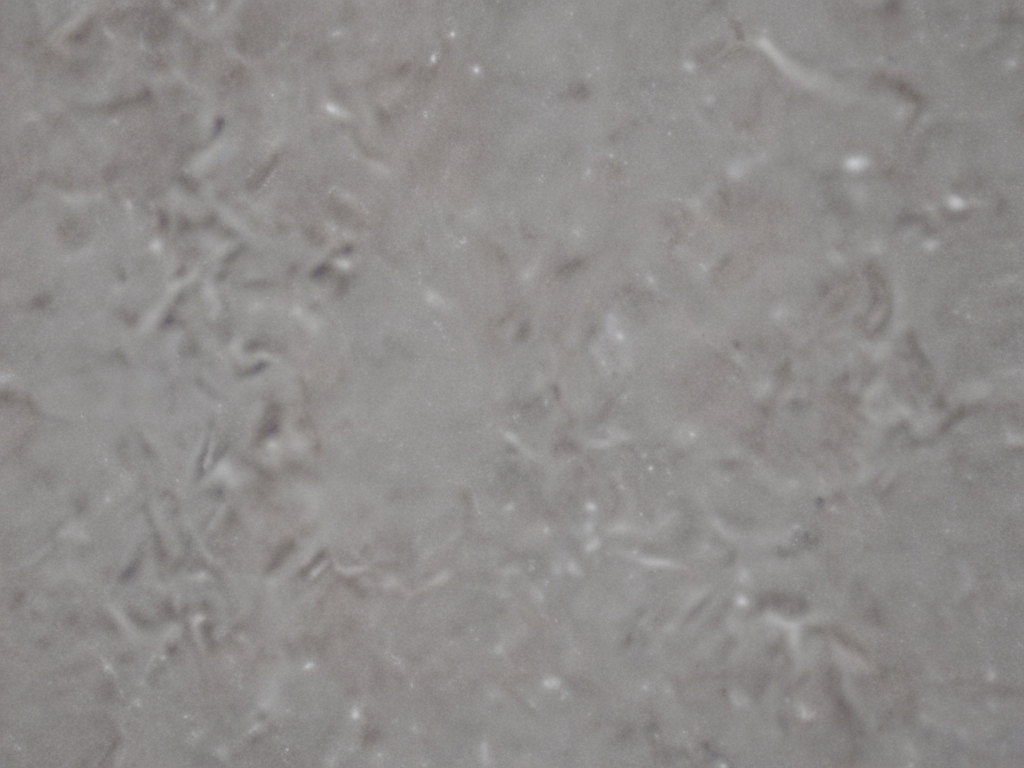 Abstract Close-Up of Soft Textured Surface with Subtle Color Variations
