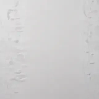 white grey background