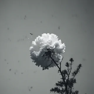 minimal aesthetic desktop wallpaper