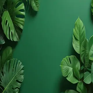 green background wallpaper aesthetic