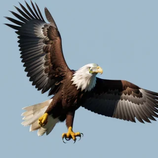 eagle png