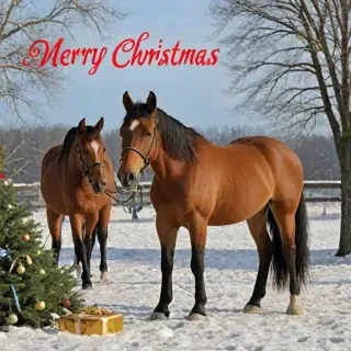 merry christmas images with horses