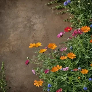 wildflower background