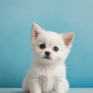cute blue background