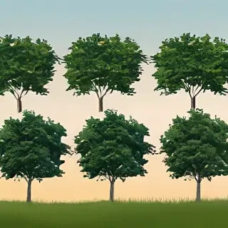 background trees