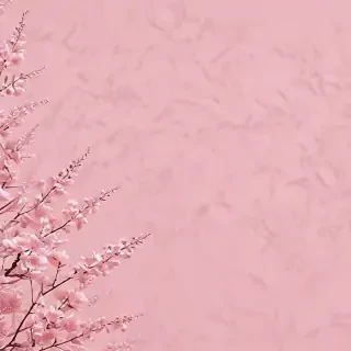 aesthetic light pink wallpaper