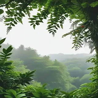 greenery background aesthetic