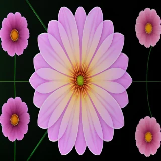 transparent flower background