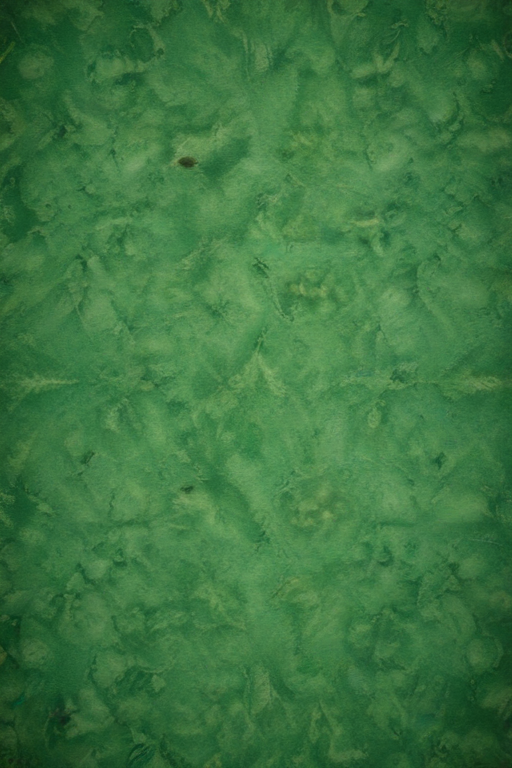 Textured Green Background with Subtle Variations and Organic Patterns.