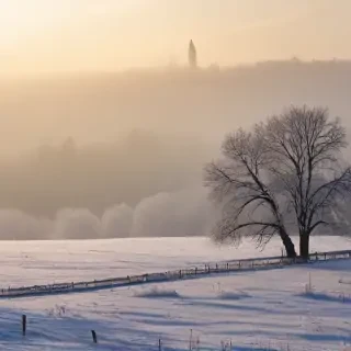winter images