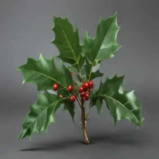 holly png