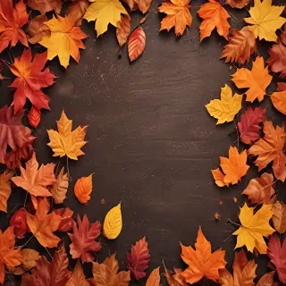 autumn wallpaper phone