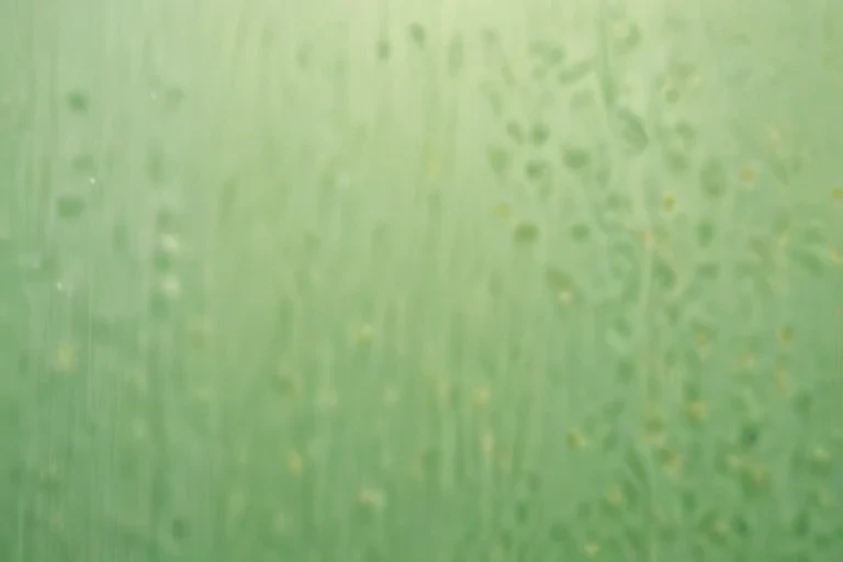 plain light green background