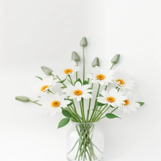 flowers on a white background