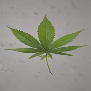 weed leaf png