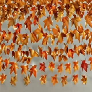 autumn leaves png