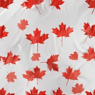 canada flag transparent
