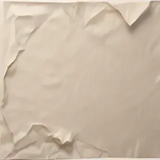 wrinkled paper overlay