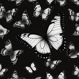 black and white butterfly wallpaper