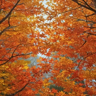 fall leaves