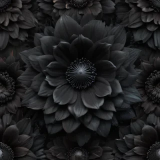 black flower