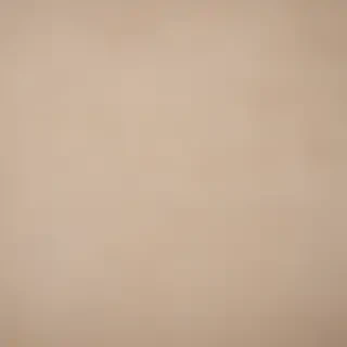 canvas texture overlay