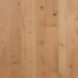 floor png