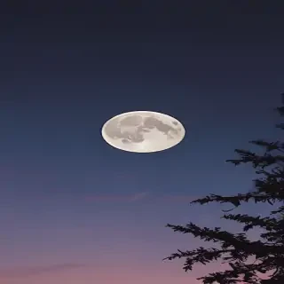 aesthetic crescent moon