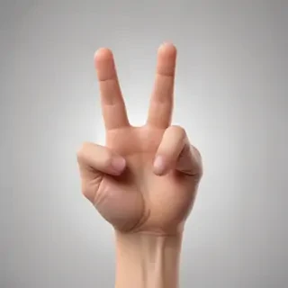 middle finger background