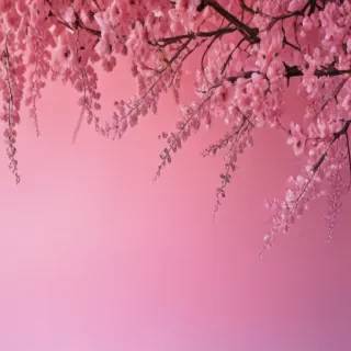 pretty pink background