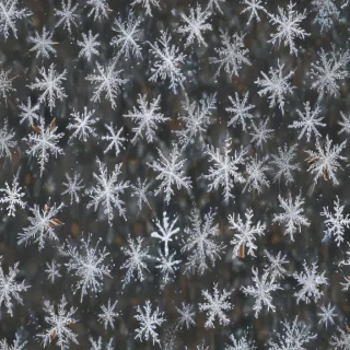 snow transparent