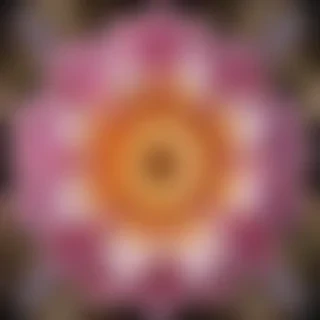 png border flower