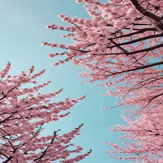 aesthetic spring wallpaper