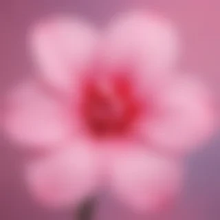 cute pink iphone wallpaper