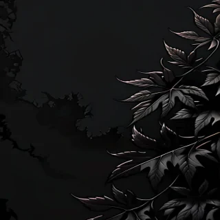 dark aesthetic iphone wallpaper